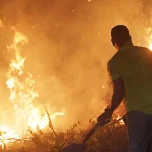 Δραματική είναι η κατάσταση από τις πυρκαγιές στην Βολιβία - Πάνω από 2 εκατομμύρια εκτάρια γης έχουν γίνει στάχτη