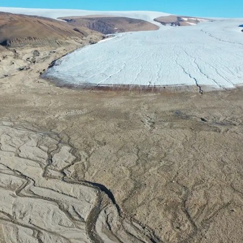 Κλίμα: H Γροιλανδία γίνεται πιο πράσινη: ο πάγος λιώνει και αντικαθίσταται από βλάστηση