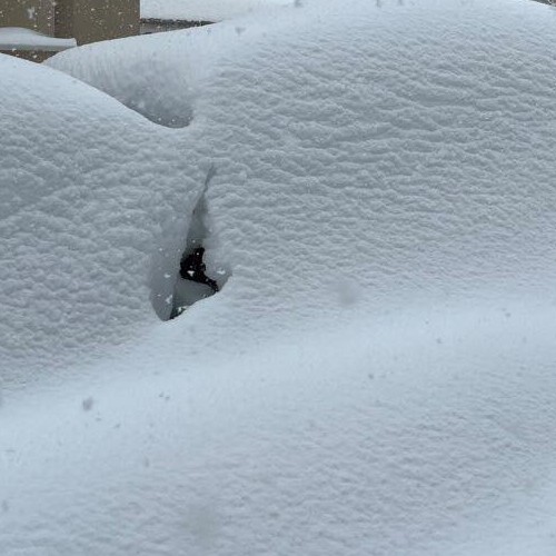 Μεγάλες ποσότητες χιονιού καταγράφονται στην Θήβα από τις πυκνές χιονοπτώσεις που ξεκίνησαν από τα ξημερώματα της Τρίτης (video)